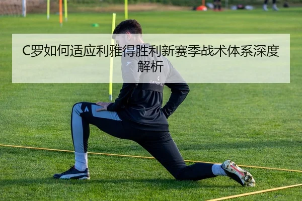 luo-ru-he-shi-ying-li-ya-de-sheng-li-xin-sai-ji-zhan-shu-ti-xi-shen-du-jie-xi-3-440.jpg