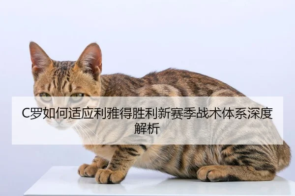 C罗如何适应利雅得胜利新赛季战术体系深度解析