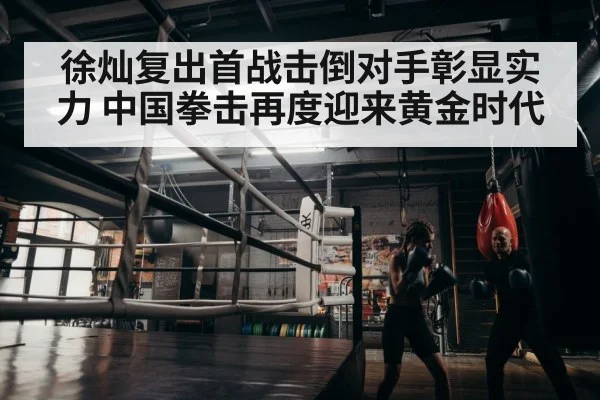 boxer training